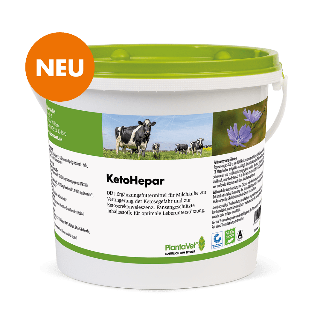 KetoHepar