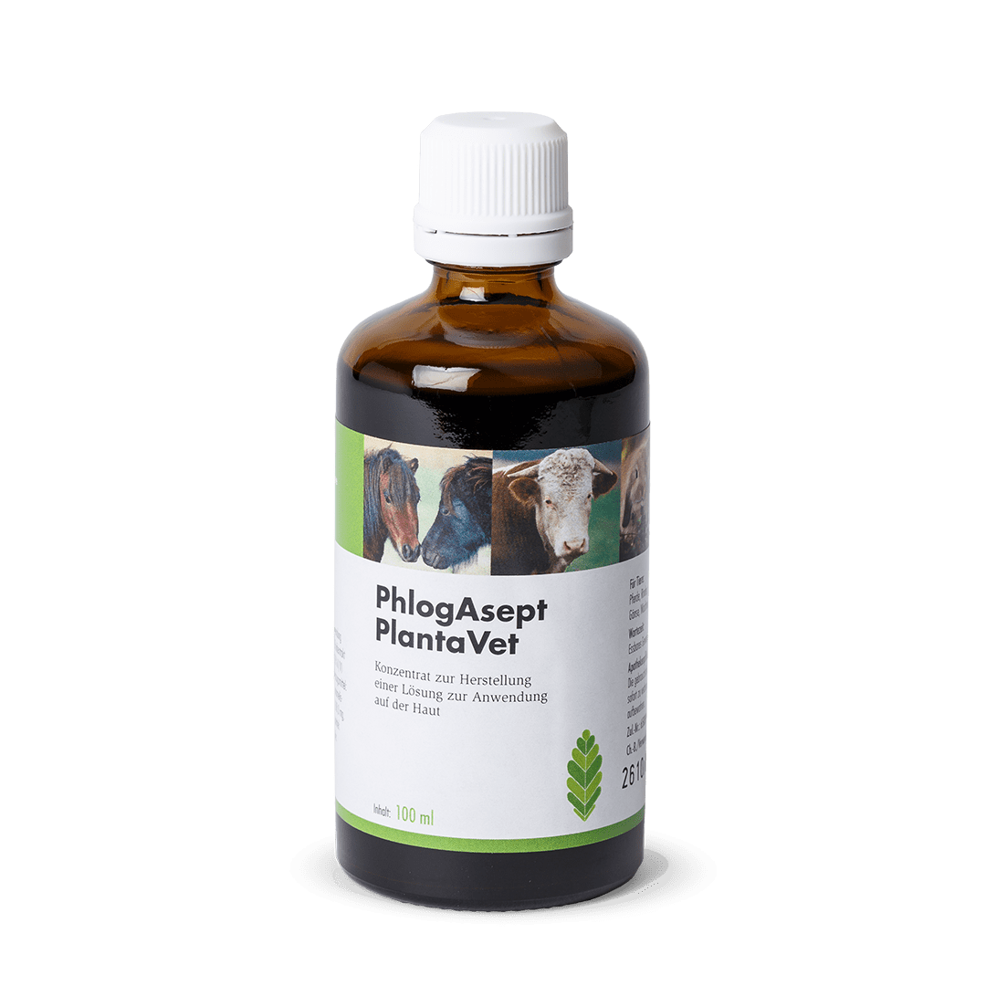 2025_02_PhlogAsept100ml_Flasche_web_1080 PhlogAsept® PlantaVet - Flasche 100 ml  mit Lueradapter