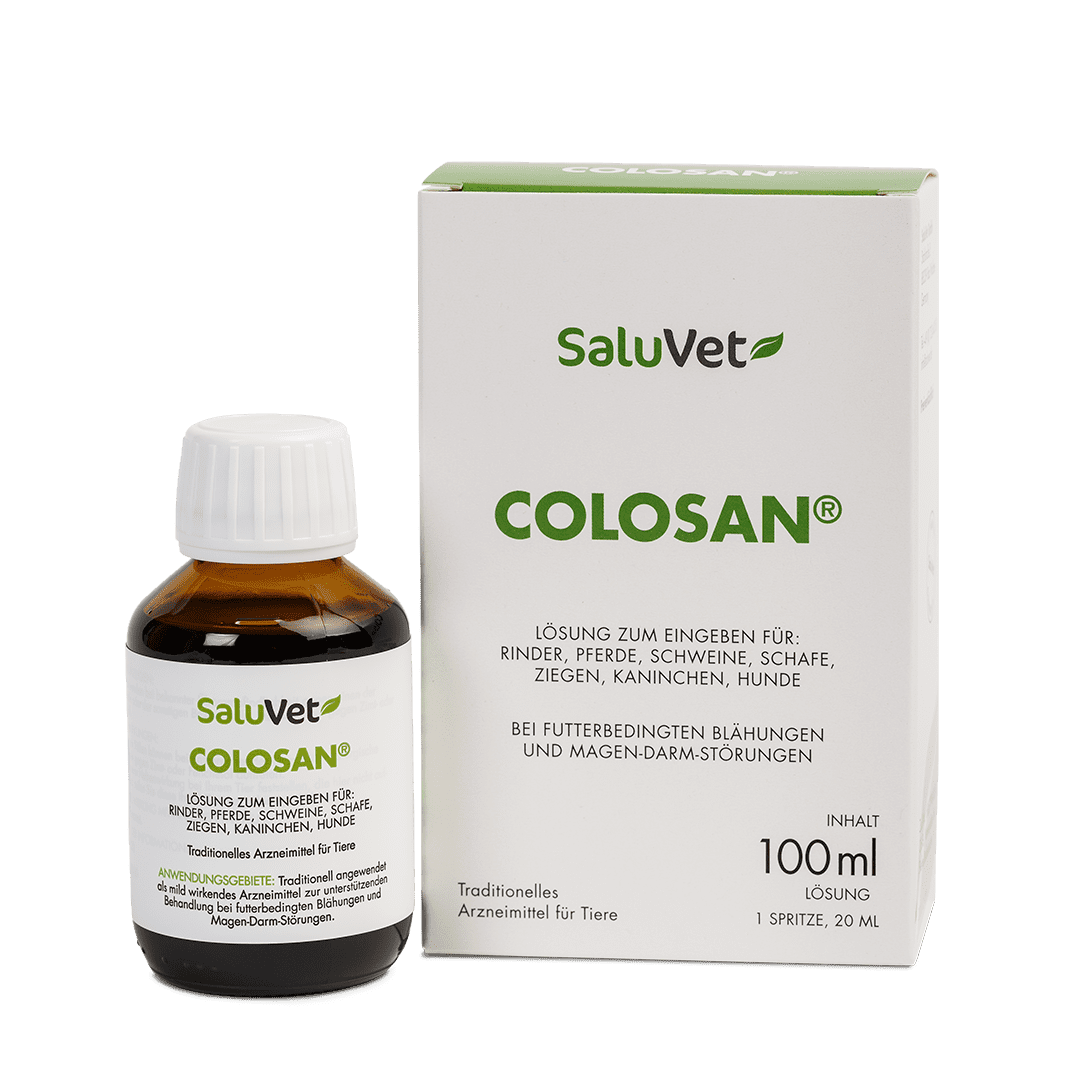 ColoSan® 100 ml (flüssig) mit Verpackung