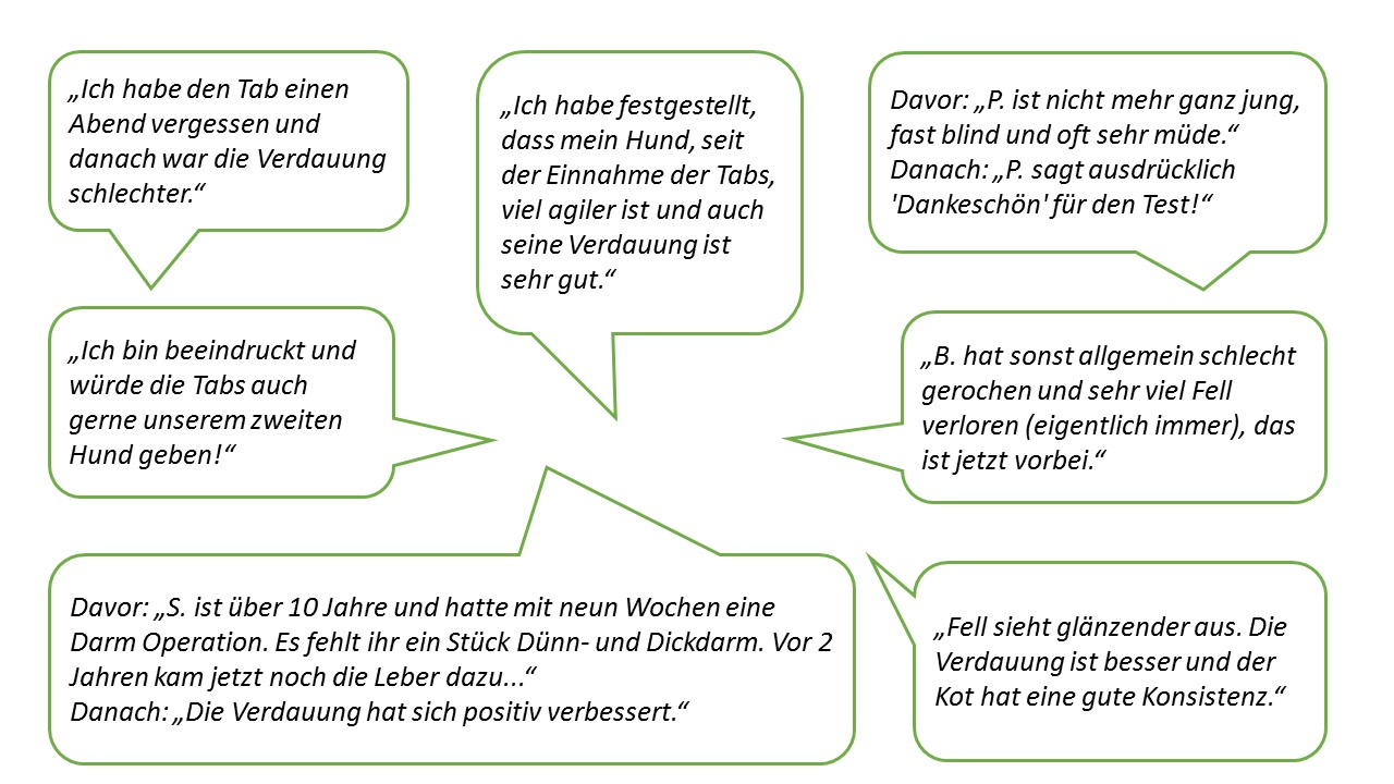 Zitate der Studienteilnehmer