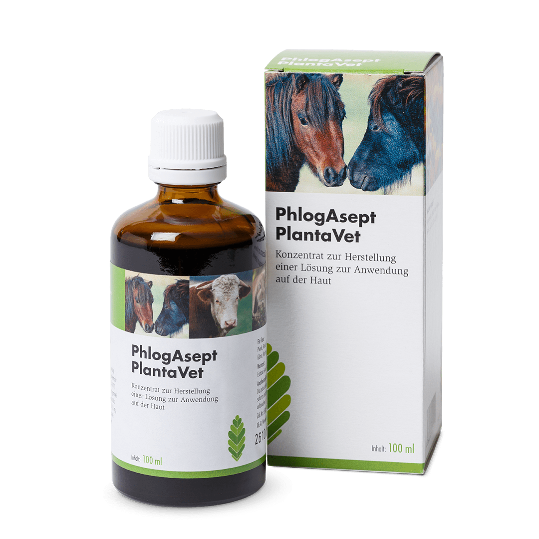 2025_02_PhlogAsept100ml_Kombi_web_1080 PhlogAsept® PlantaVet - Flasche 100 ml  mit Lueradapter und Verpackung