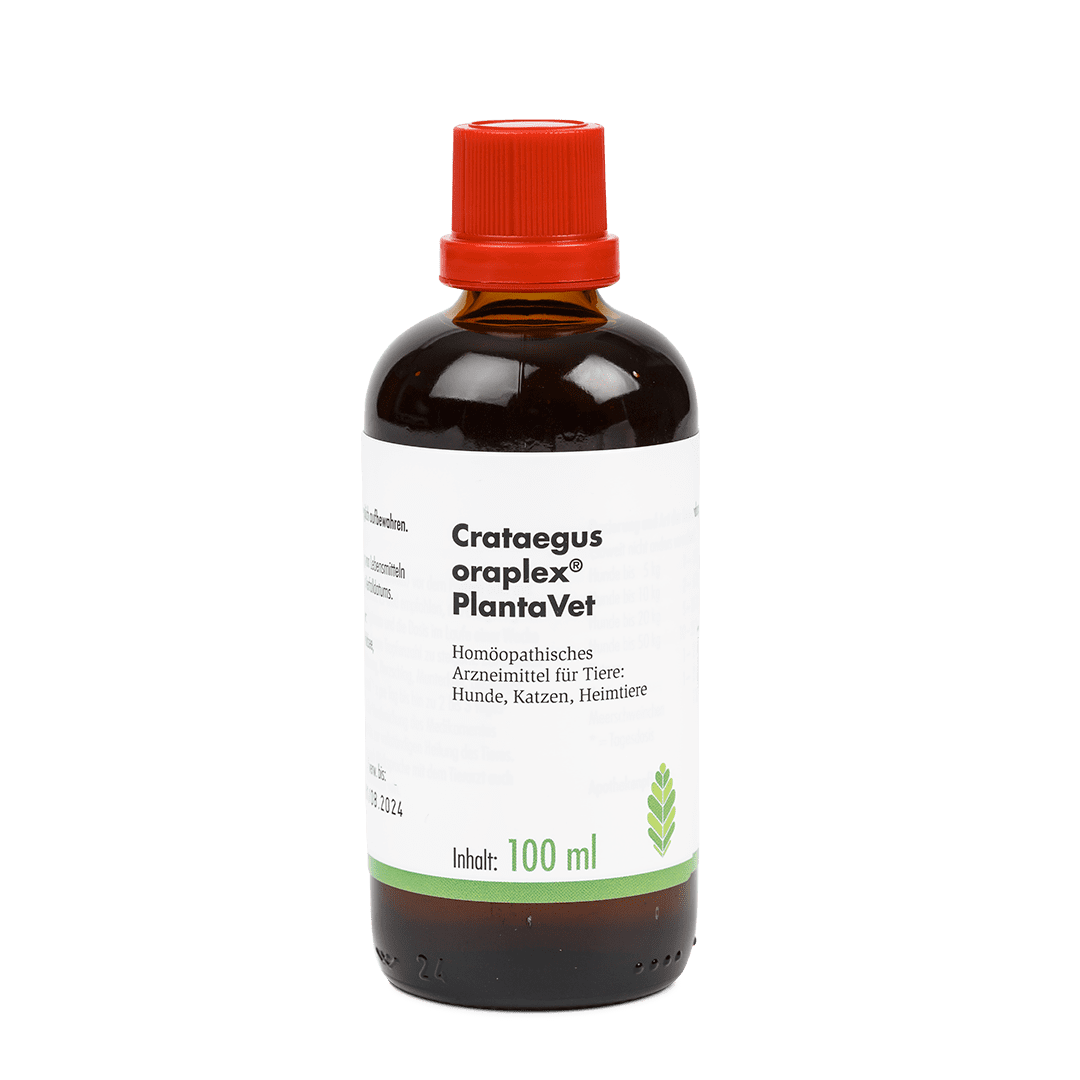 2025_02_crateagus_oraplex-100ml_web_1080 Crataegus oraplex® - Tropfflaschen 100 ml