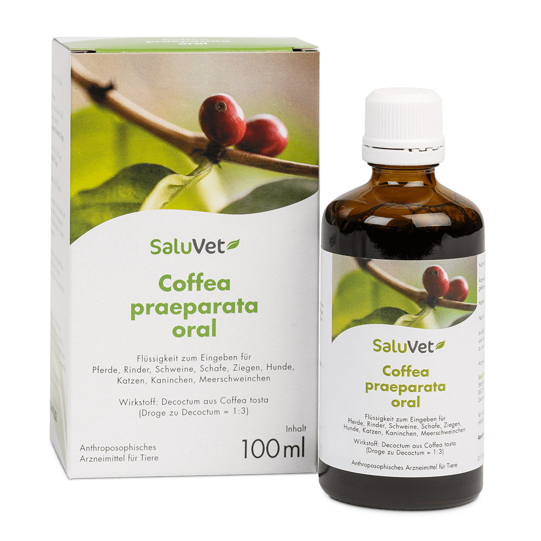 Coffea praeparata oral - Tropfflasche