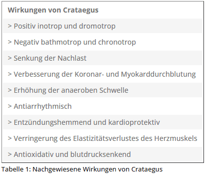 Tabelle Nachgewiesene Wirkung von Crataegus