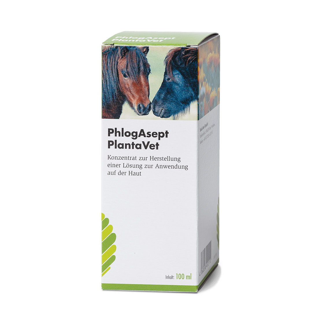 2025_02_PhlogAsept100ml_Faltschachtel_web_1080 PhlogAsept® PlantaVet - 100 ml  Verpackung