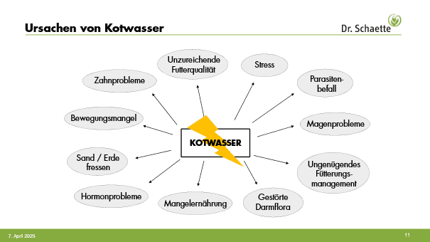 Ursachen Kotwasser