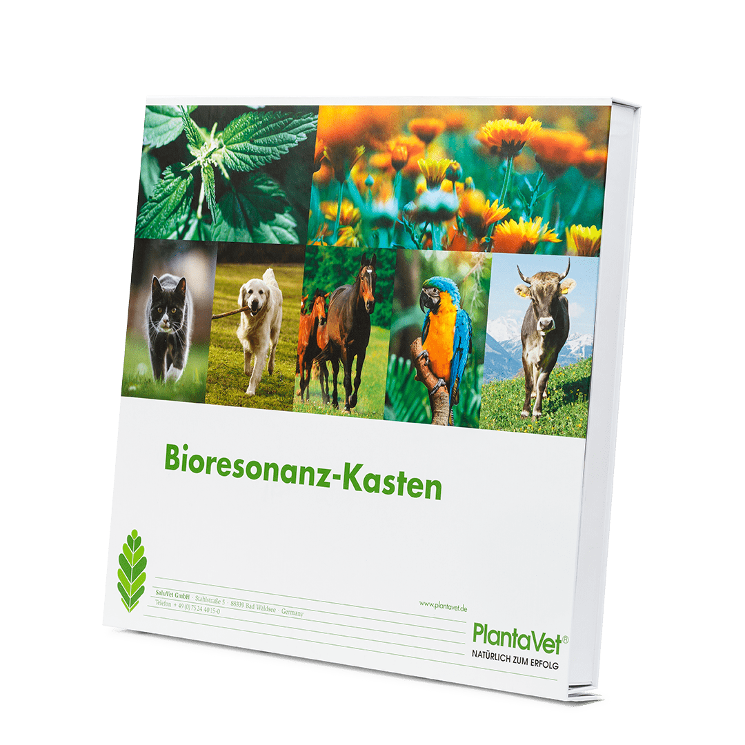 Bioresonanz-Kasten