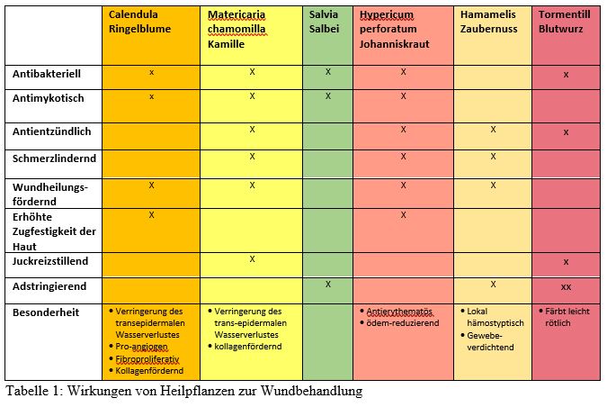 Tabelle Wirkung von Heilpflanzen zur Wundbehandlung