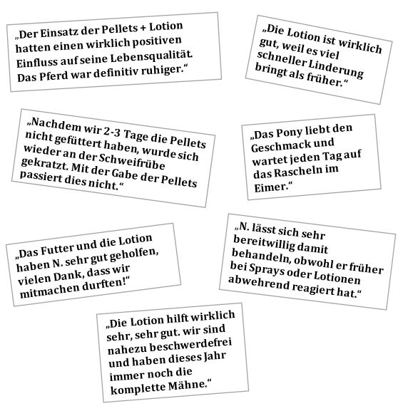 Zitate von zufriedenen Teilnehmer